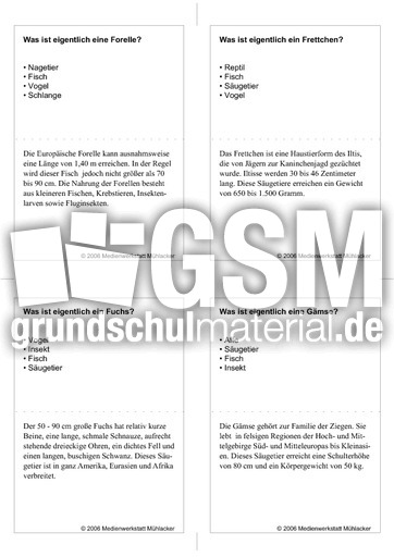 Quiz-Karten-Tiernamen 24.pdf